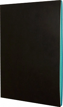 Тетрадь 80л, А4-, обл. иск кожа, скрепка, клетка, черный, бирюзовый торец Эксмо